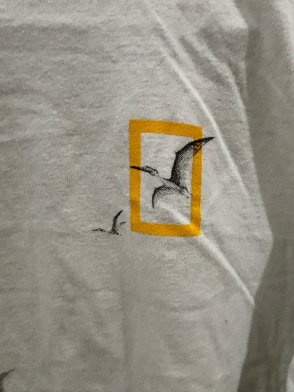 Boys GAP National Geographic White Dinosaur Graphic Long-Sleeve Tee - Picture 3 of 9